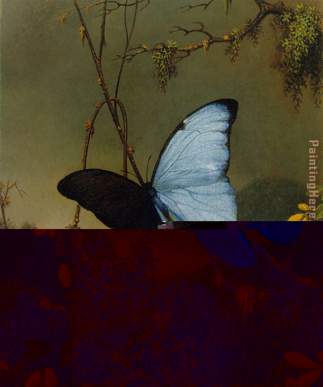 Blue Morpho Butterfly painting - Martin Johnson Heade Blue Morpho Butterfly art painting